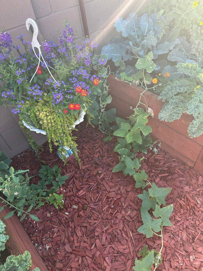 Applying Mulch Too Early Can Trap Excess Moisture In Soil