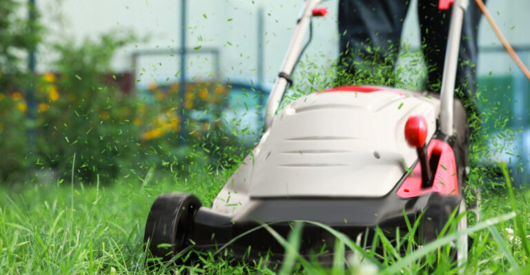 No Mow May In Texas: What 30 Days Can Do To Your Lawn