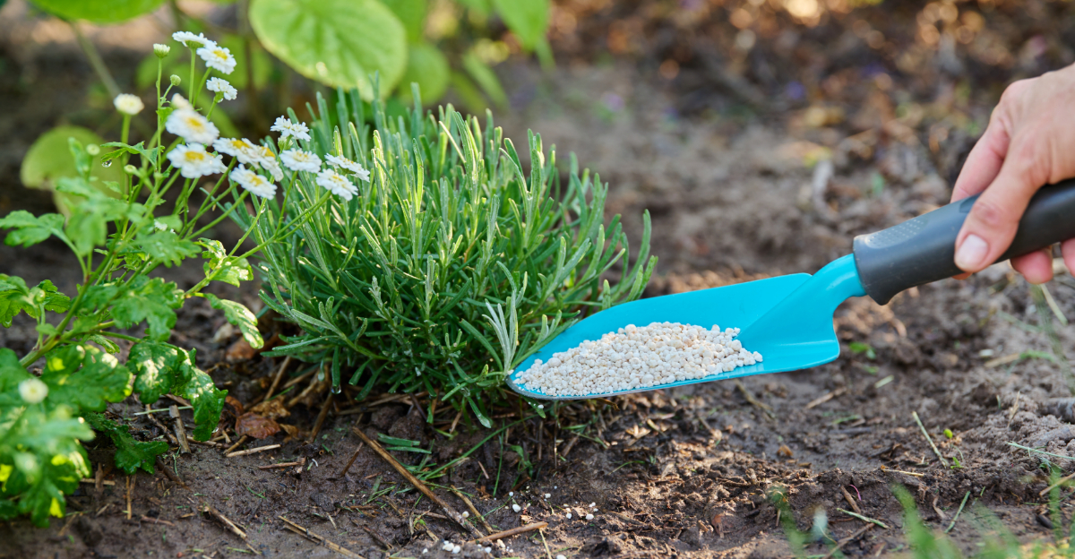 North Florida April Mistakes Gardeners Make As The Season Warms Up