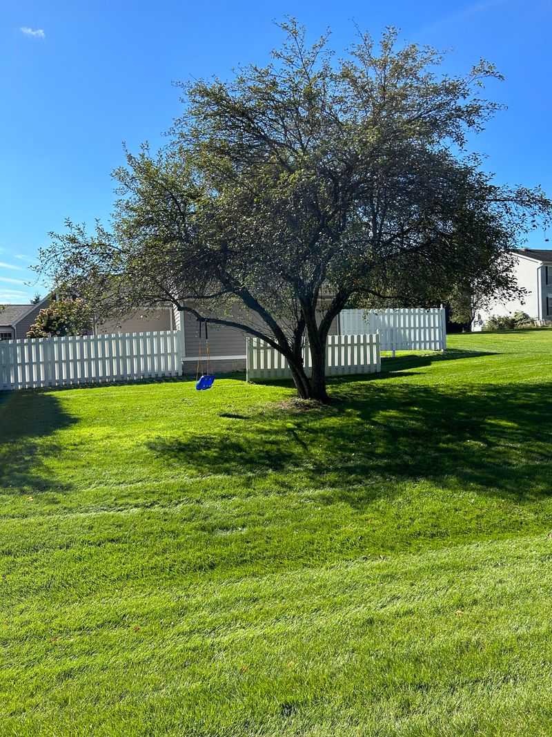 Healthy Trees Can Still Produce After Partial Damage