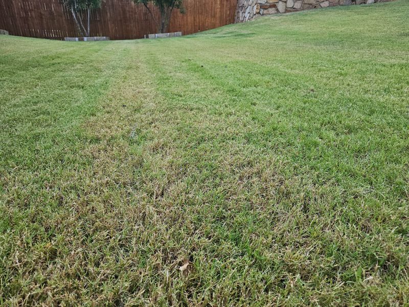 Roots Cannot Absorb Fertilizer In Cool Soil