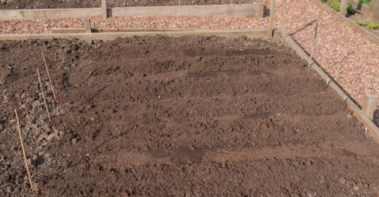 clean garden rows
