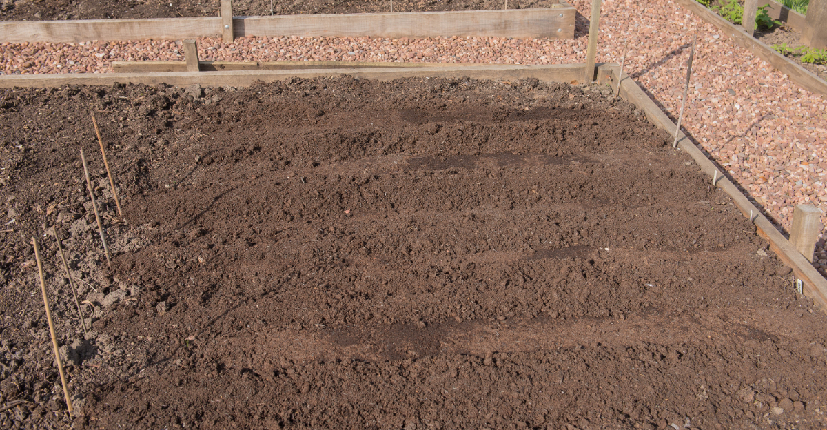 clean garden rows