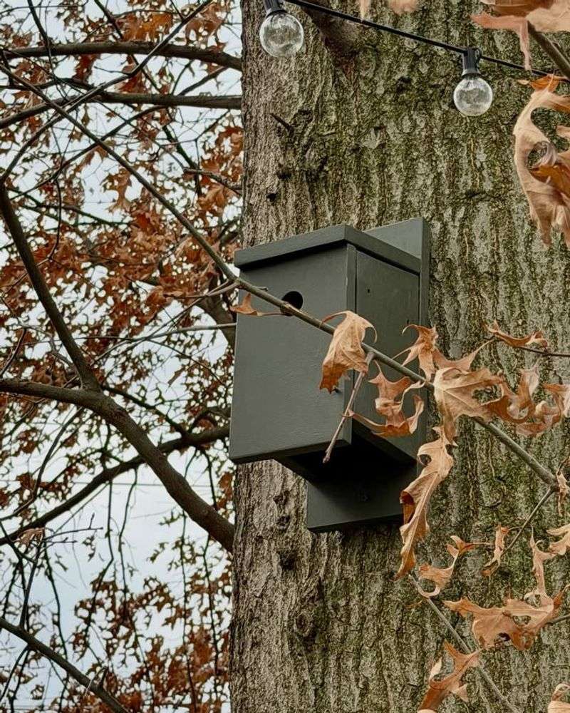 A Nest Box Can Make All The Difference