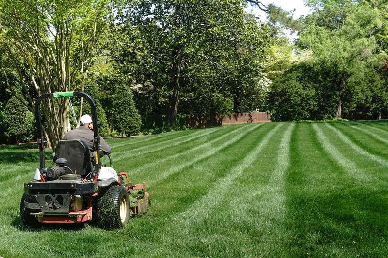 Bagging Clippings Instead Of Returning Nutrients