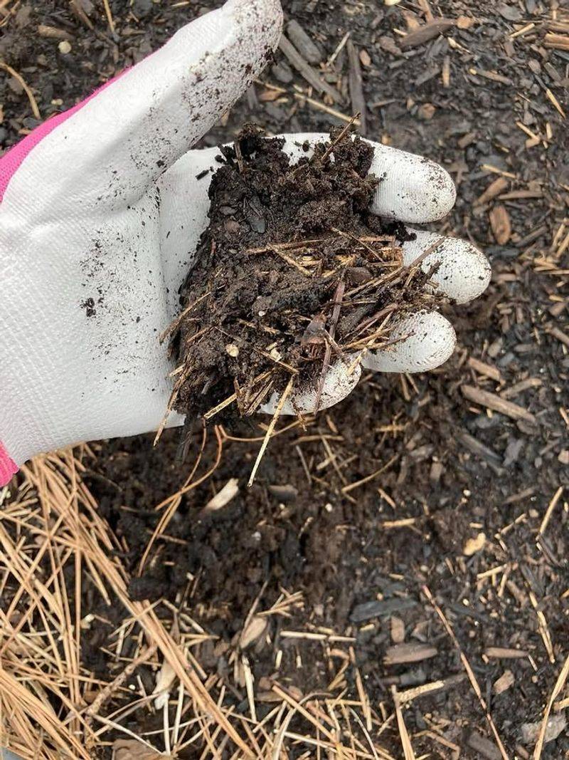 Compaction Starts Fast