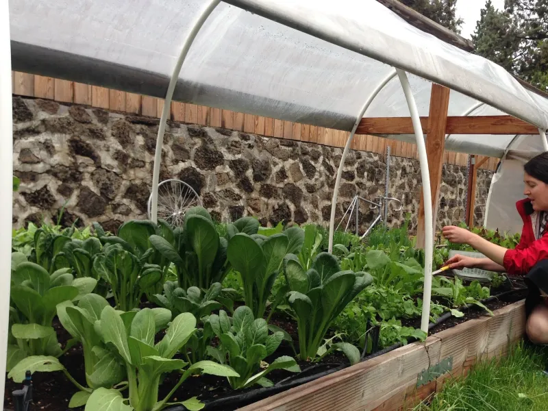 Waiting A Bit Can Pay Off Big