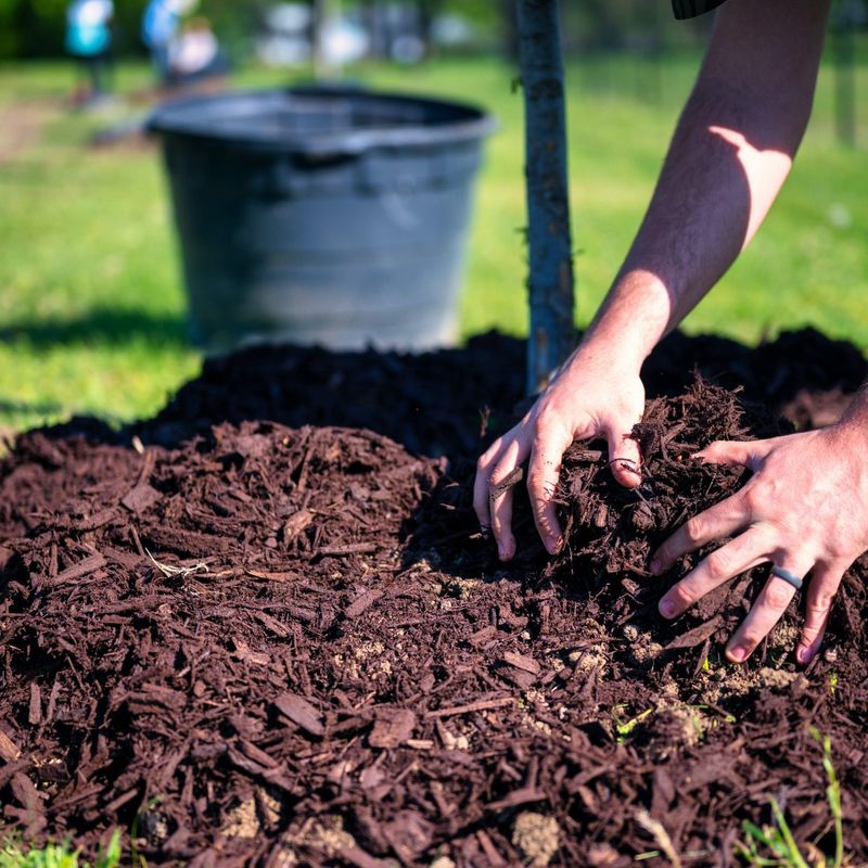 Thick Mulch Layers Help Soil Stay Moist Longer