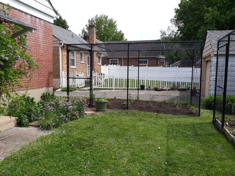 Hardware Cloth Holds Up Better Than Standard Garden Wire