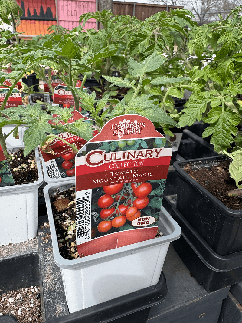 Ignoring Variety Recommendations For Your Part Of Texas