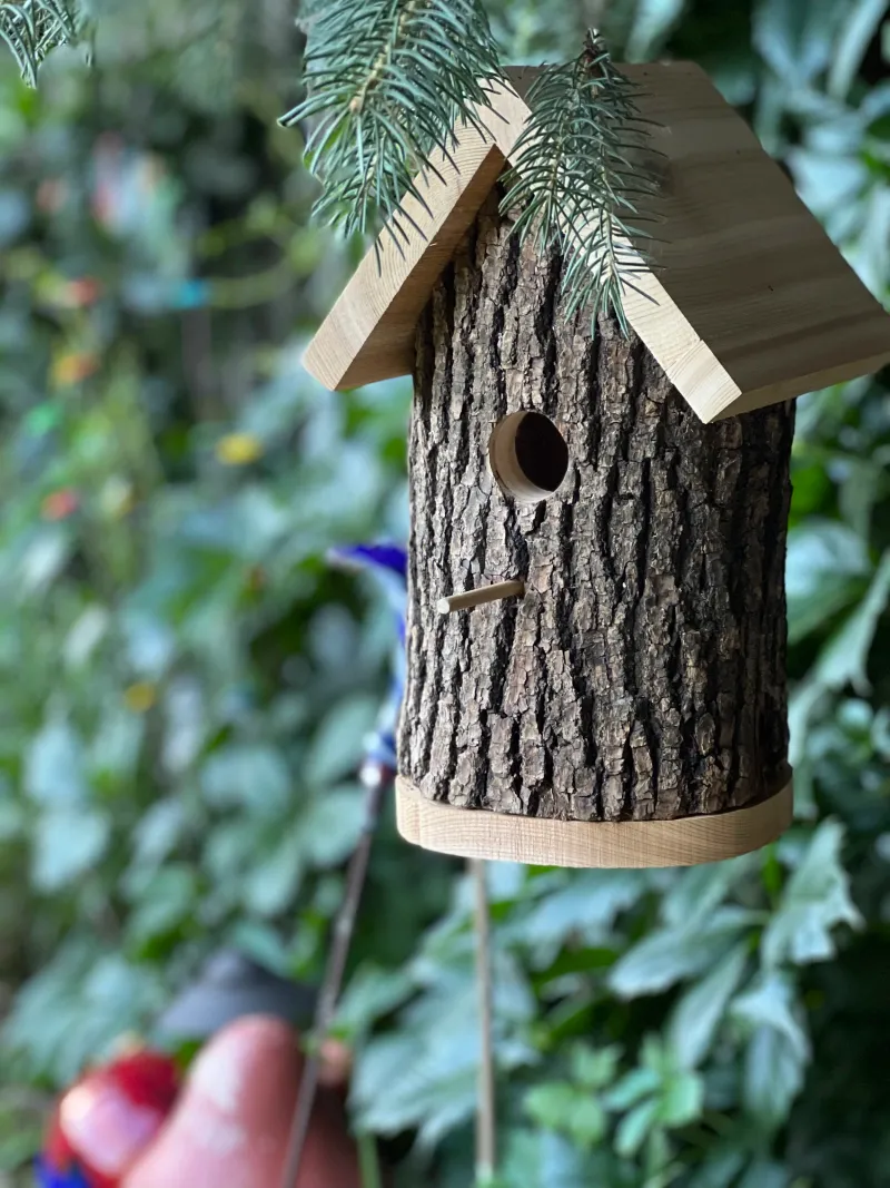 Rustic Log Birdhouse Blends Into Desert Gardens