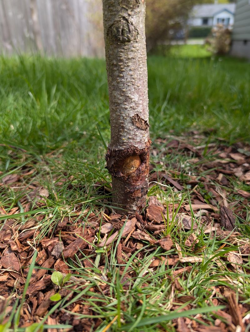 Low-Lying Areas Experience More Damage