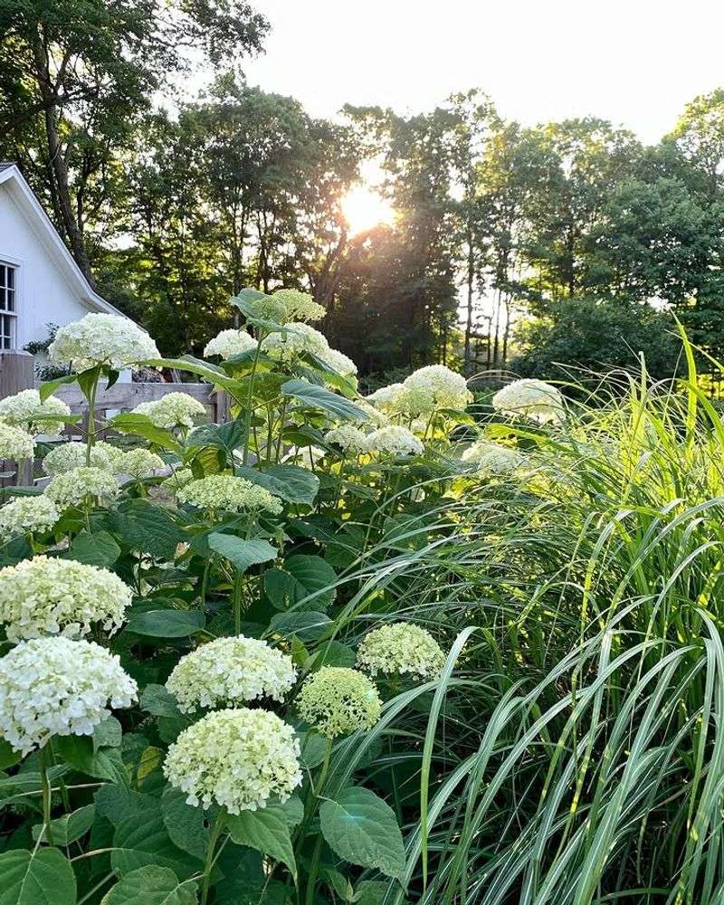 Incrediball Benefits From Early Season Cuts