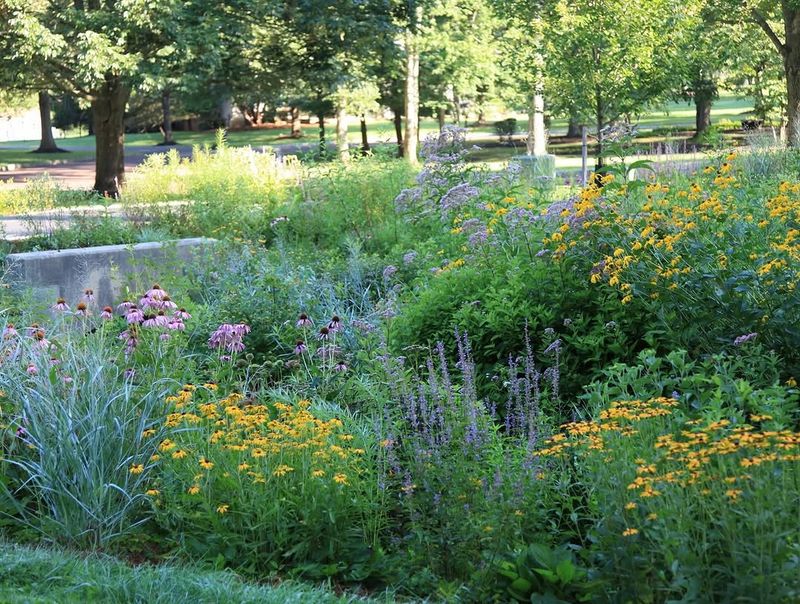 Why More Pennsylvania Homeowners Are Rethinking Traditional Lawns