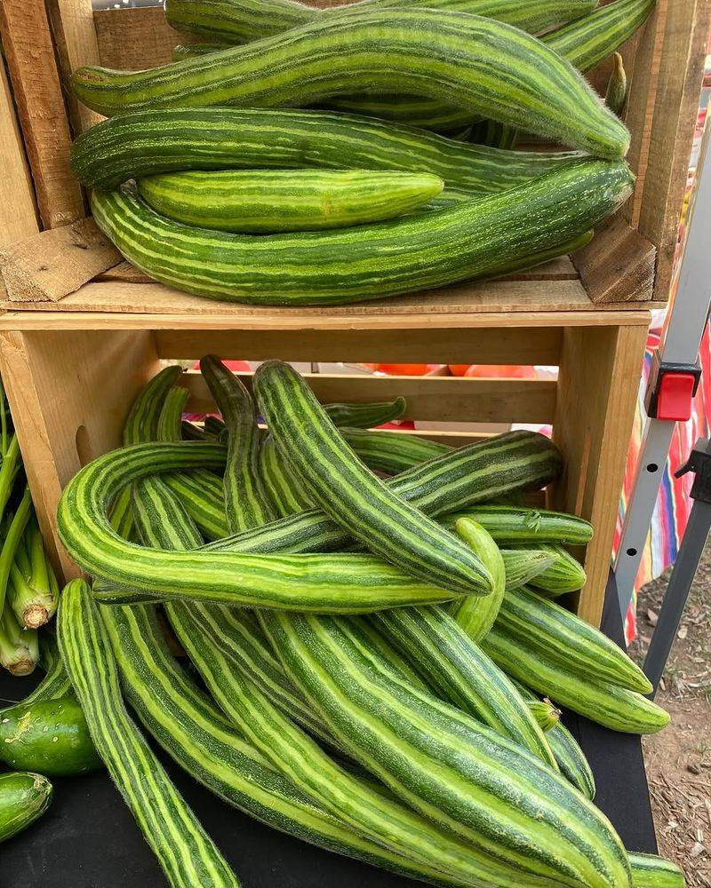 Armenian Cucumbers