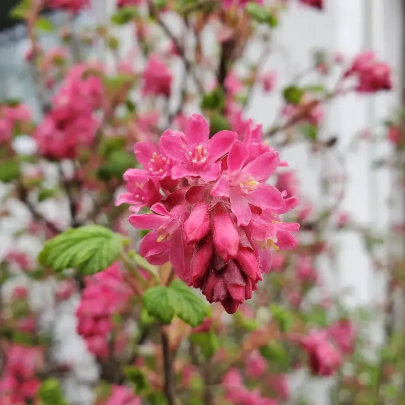 Spring Color That Stands Out