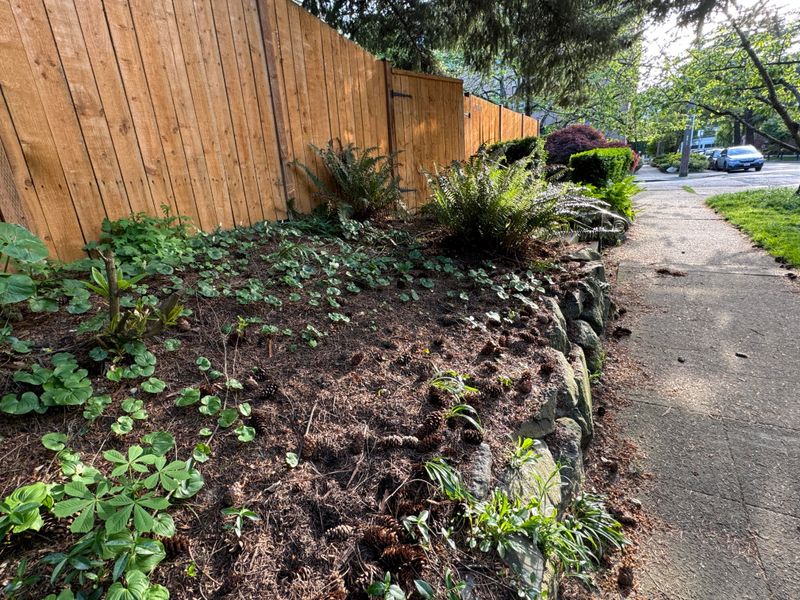 They Work Great As Surface Mulch As Well