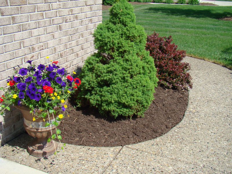 Hardwood Mulch Reduces Lawn Maintenance