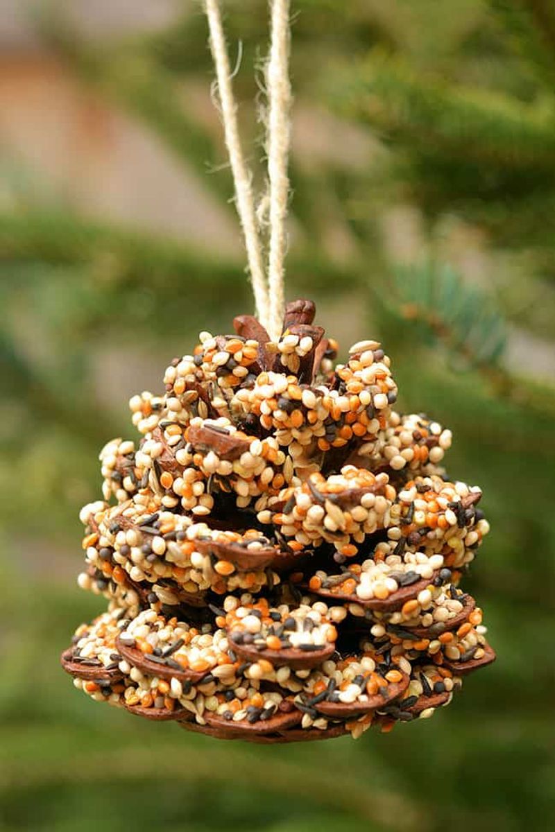 Pinecones Make Simple Bird Feeders For Backyard Wildlife
