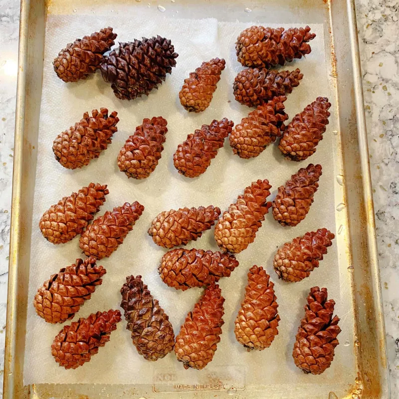 Preparing Pinecones For Garden Use Is Simple