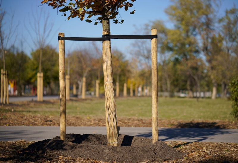 Slight Movement Helps Build Stronger Structure