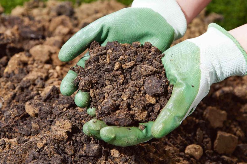 Improve Clay Soil Before Planting