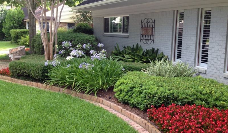 Feed Shade Plants To Keep Growth Strong