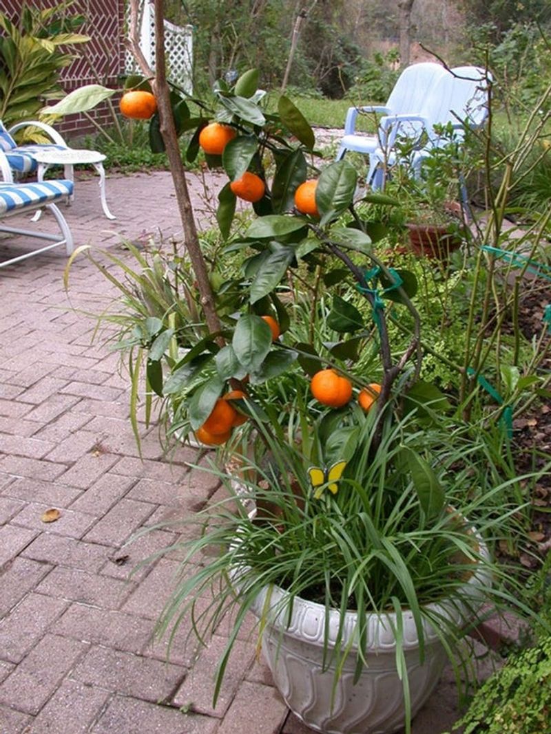 Water Deeply But Carefully