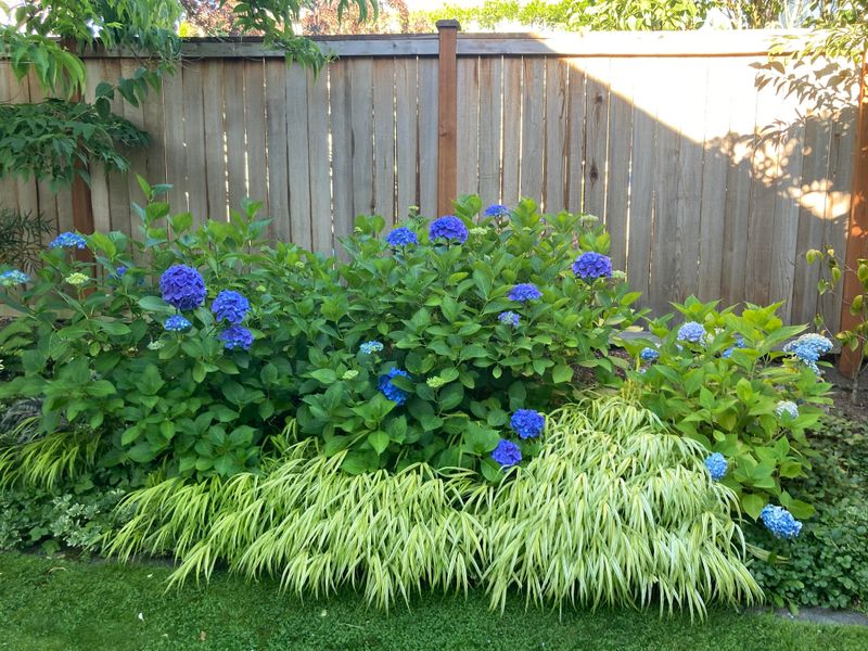 Keep Soil Evenly Moist