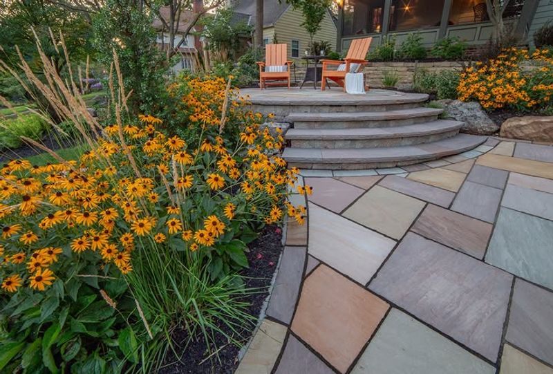 Choose Black Eyed Susan For Fast Color In Tough Soil