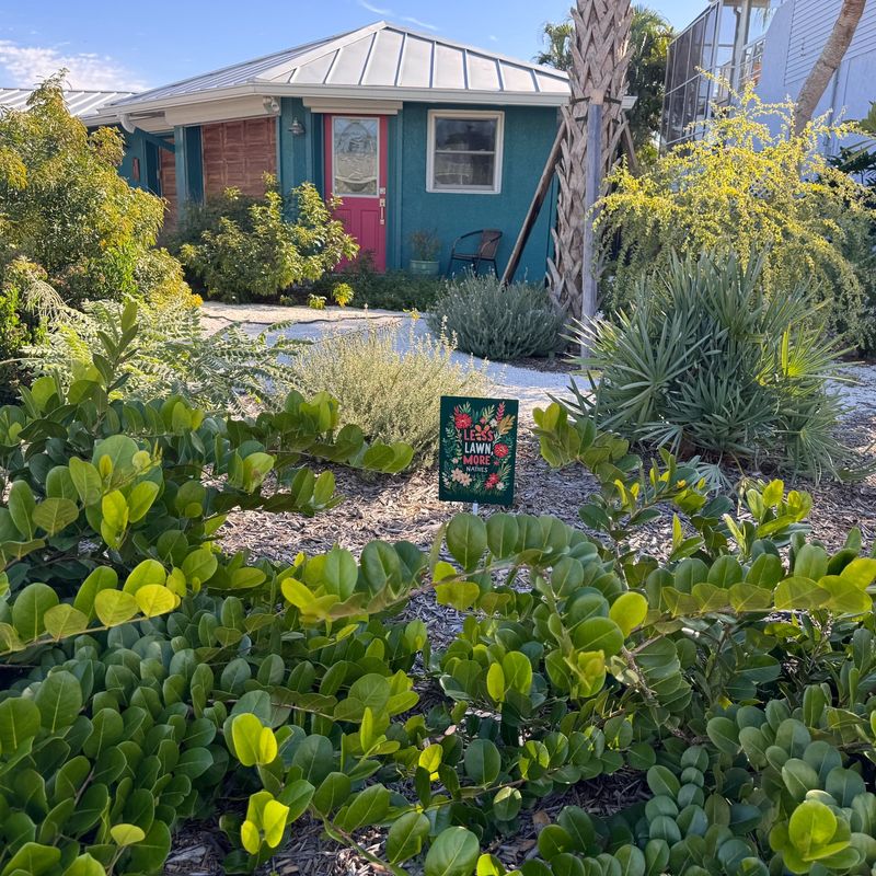 Choose Native Plants That Handle Rising Heat