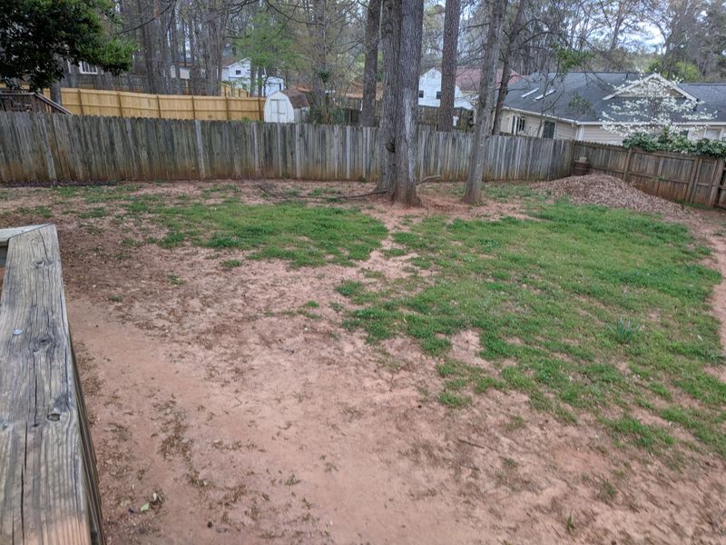 Ignoring Soil Compaction That Limits Root Development