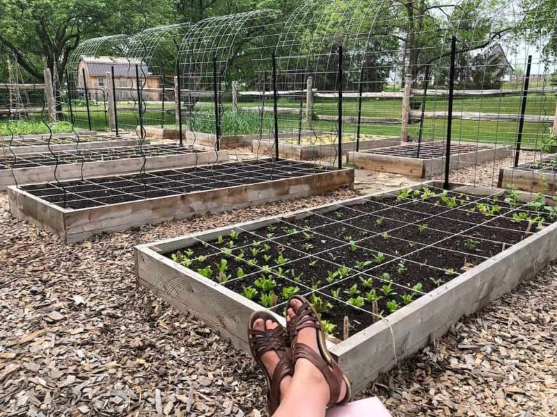 Making The First Garden Too Large To Keep Up With