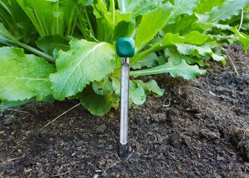 How To Check Soil Readiness