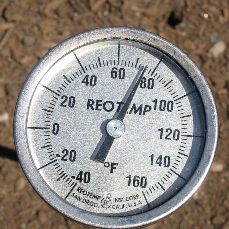 Ignoring Soil Temperature Before Planting