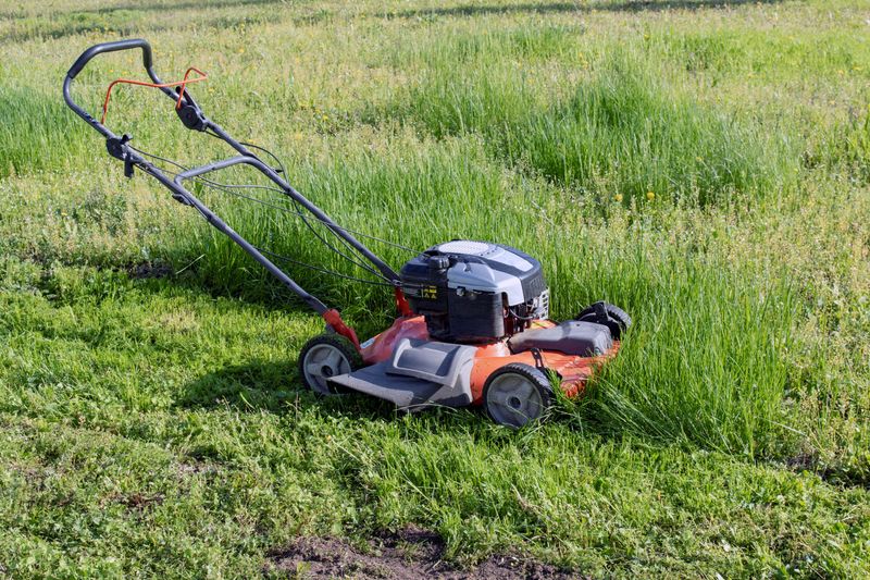 The First Mow After Thirty Days Can Be Hard On Turfgrass