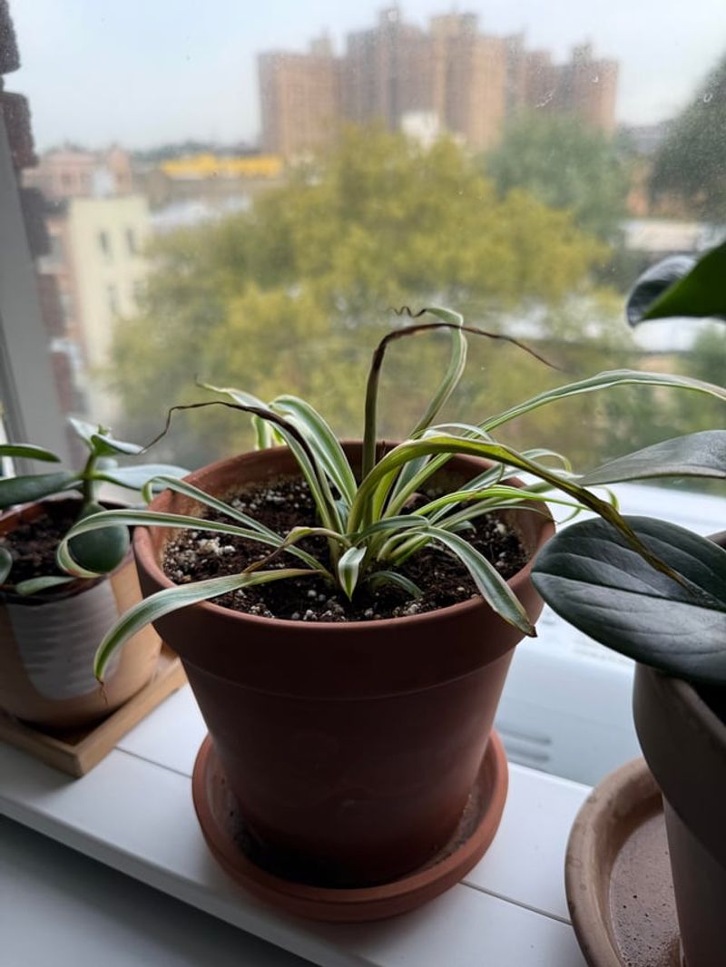 Tap Water Can Show Up On The Tips