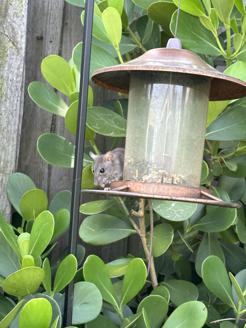 Small Fixes Can Change Everything