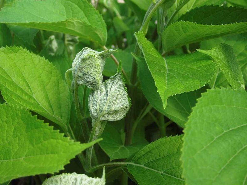 Don't Miss The First Warning Signs