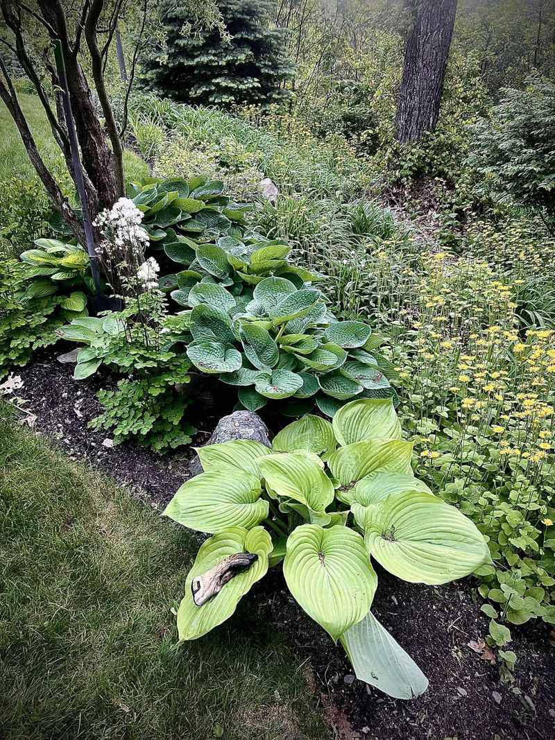 Feed With Slow-Release Fertilizer