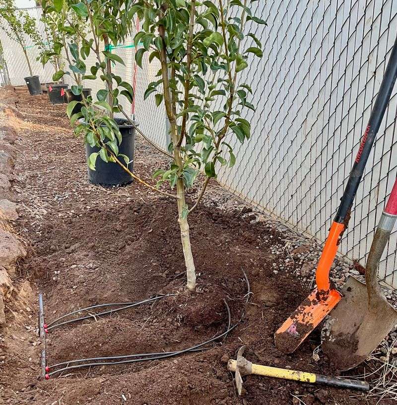 Adjust Watering As Temperatures Rise
