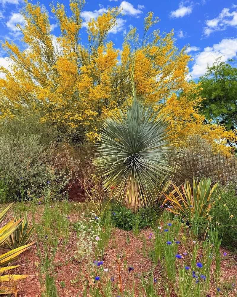 Choose Native And Heat-Adapted Plants That Handle Extreme Conditions