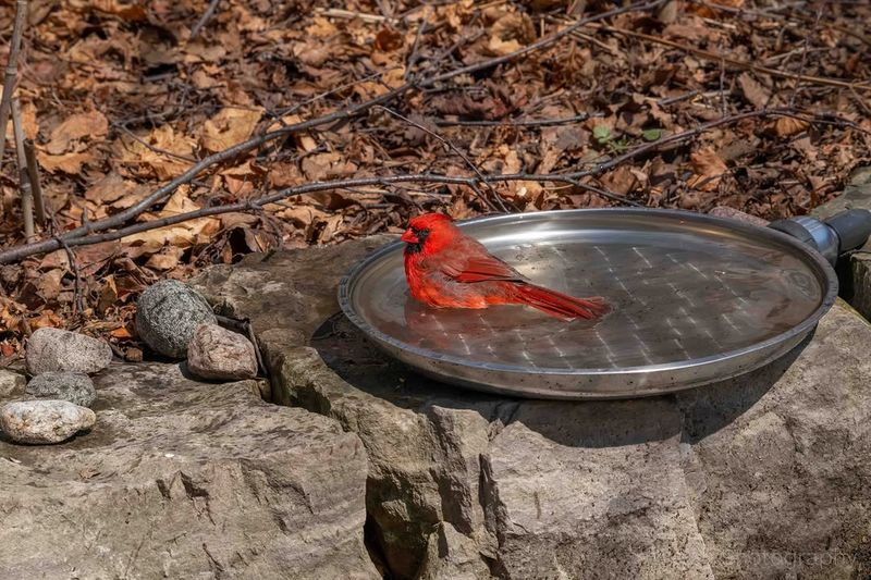 Keep A Reliable Water Source Available Year Round