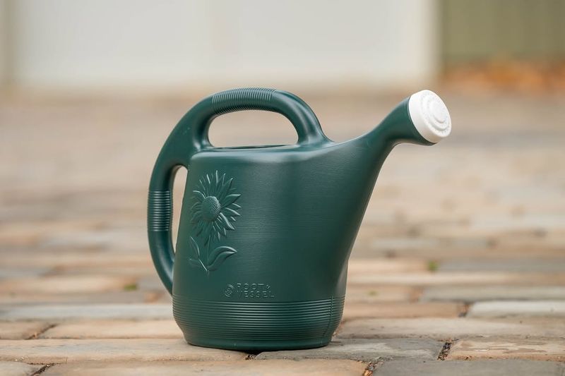 Water Consistently Without Waterlogging