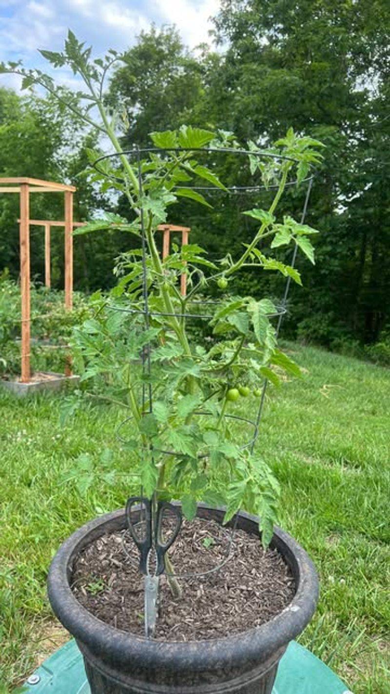 Avoid Over-Pruning In Heat