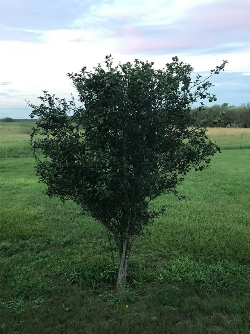 Monitor Soil Drainage As Spring Rains Increase