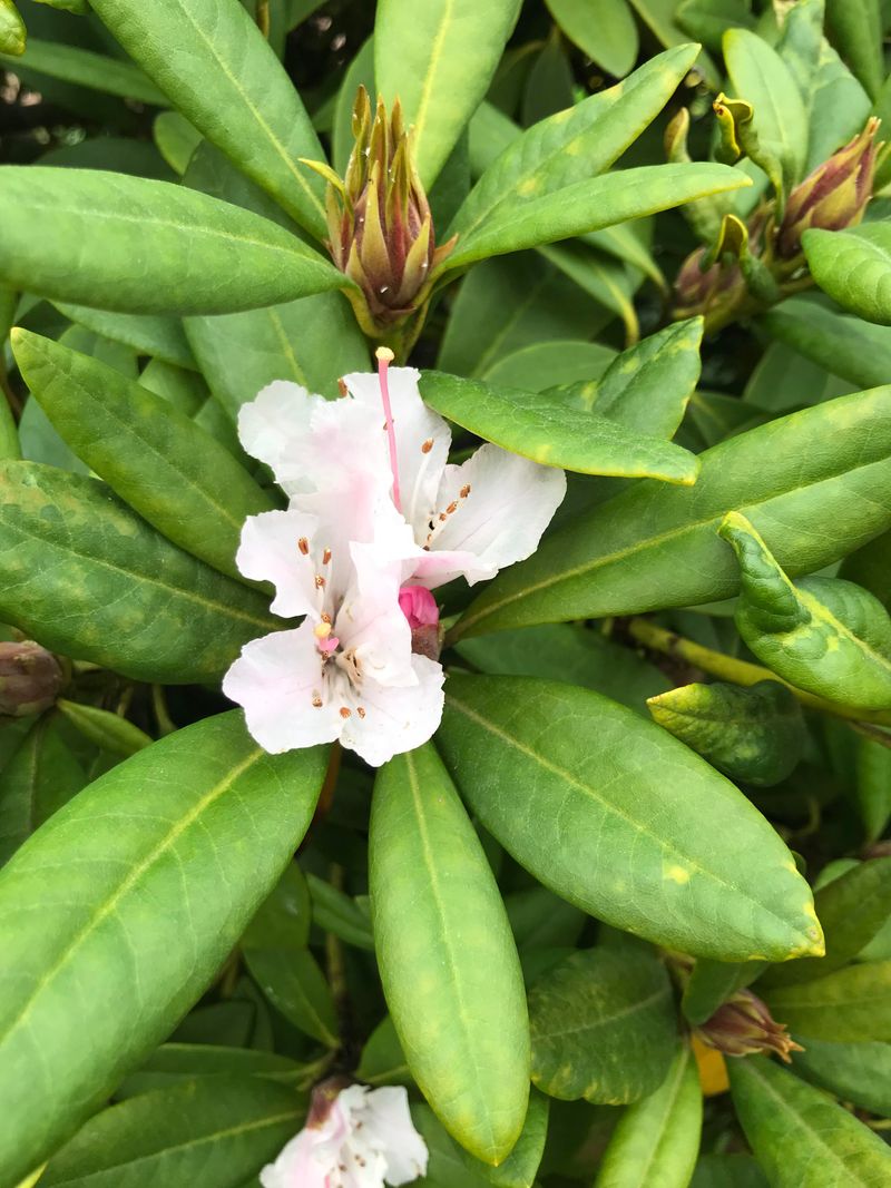 Do Not Wait Until Late Summer