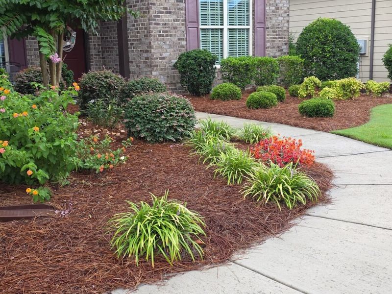 Refresh Mulch In Landscape Beds