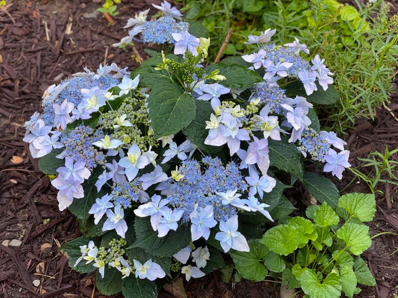 Simple Care Habits For Healthy, Long-Lasting Plants