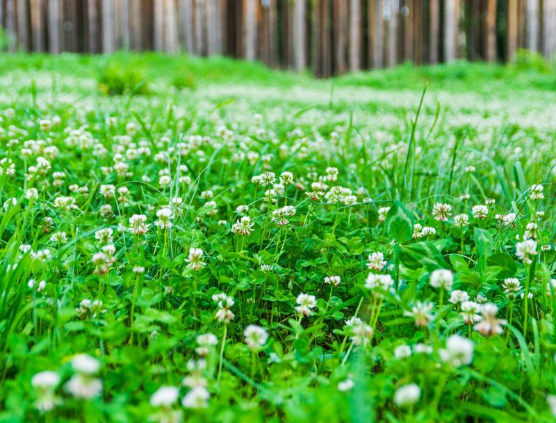 Decide Patch By Patch Instead Of Declaring War